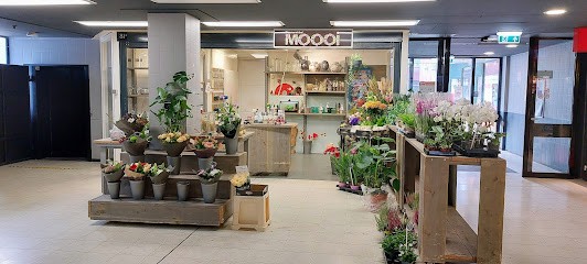 Bloemenwinkel Moooi, Bloemist in Capelle aan den IJssel