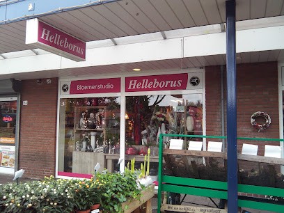 Bloemenstudio Helleborus, Bloemist in Hoogvliet