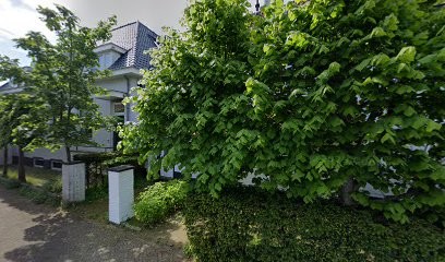 Bloemetjes & Zo, Bloemist in Warmond