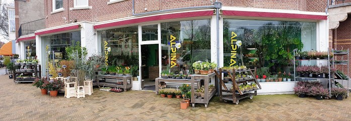 Alpina Bloemisten, Bloemist in Den Haag
