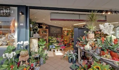 Bloemz, Bloemist in Julianadorp