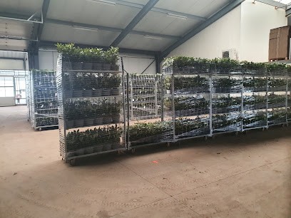 Boom- & Rozenkwekerij Deckers, Bloemist in Melderslo