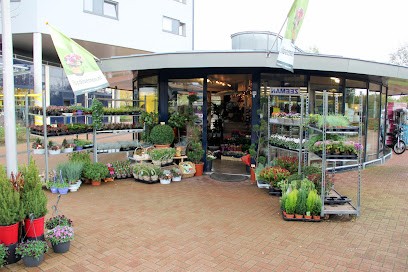 Bloemsierkunst Van der Waarde, Bloemist in Spijkenisse