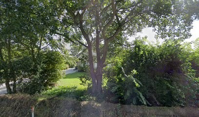 Bloembollenkwekerij Schoo V.O.F., Bloemist in De Koog