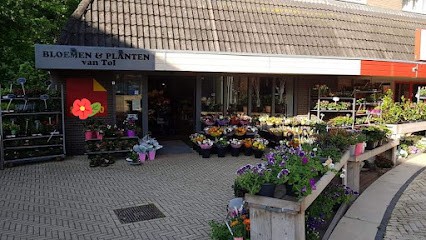 Bloemen- en Plantenhandel van Tol, Bloemist in Sassenheim