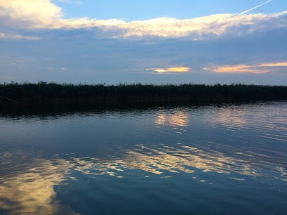 Fleurisan, Bloemist in Den Haag