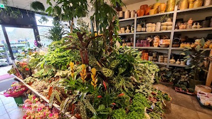 Superflora Drachten De Drait, Bloemist in Drachten