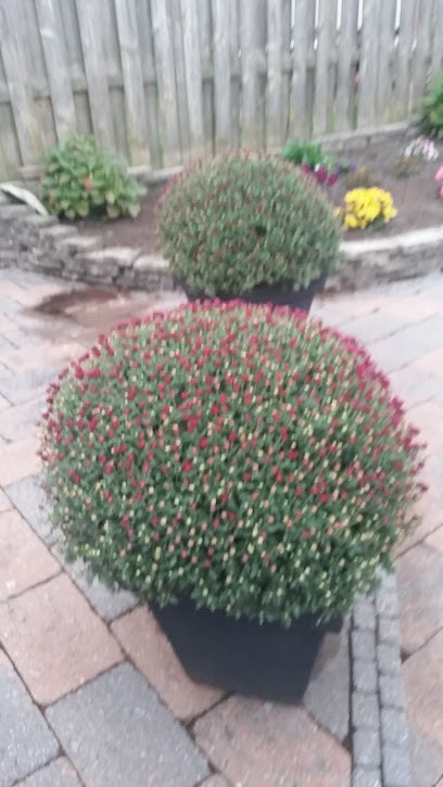 Josina's Bloem & Kado, Bloemist in Kruisland