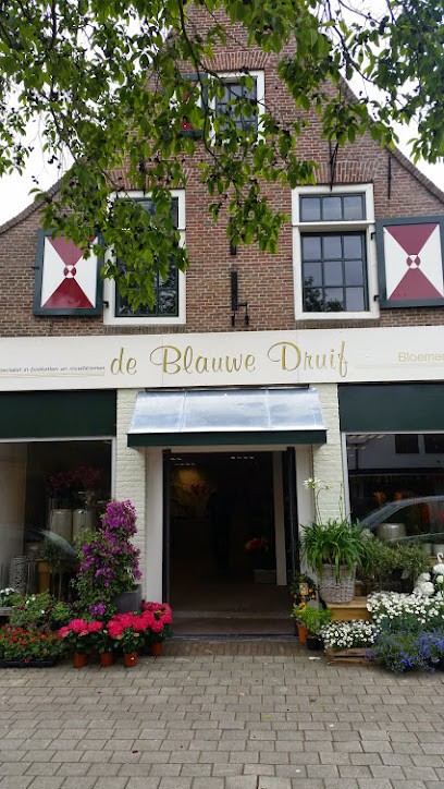 De Blauwe Druif, Bloemist in Wanneperveen