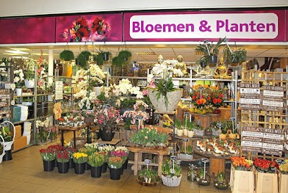 The Florist, Bloemist in Eindhoven