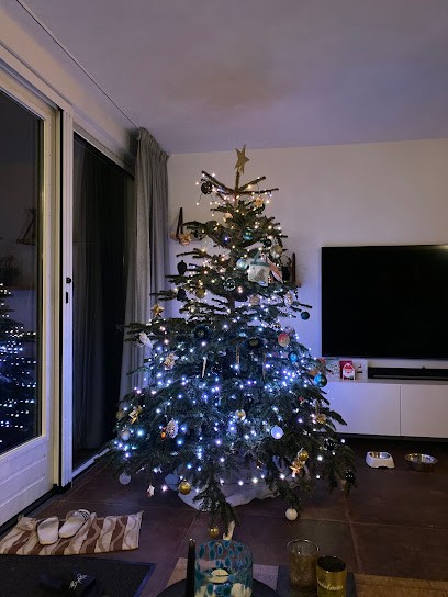 De bloemenjongen, Bloemist in Noorden