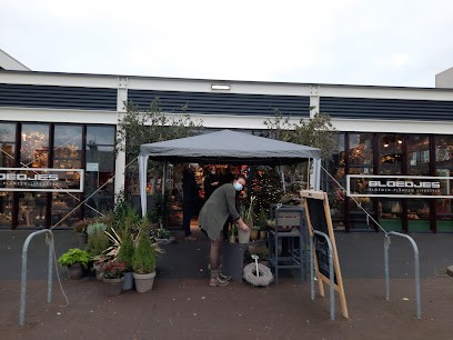 Bloedjes Bloemen - Planten - Lifestyle, Bloemist in Wormer
