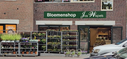 Bloemenshop Jos Wispels, Bloemist in Hellendoorn