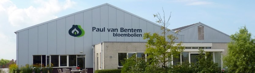 Paul Van Bentem Bloembollen BV, Bloemist in Noordwijkerhout
