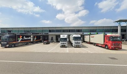 SQ Flora NL B.V., Bloemist in Honselersdijk