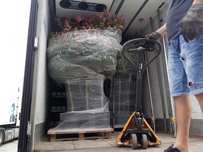 Loon Export Plant Peter van, Bloemist in Andel