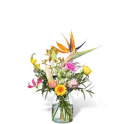 Koki bloemen en planten, Bloemist in Haarlem
