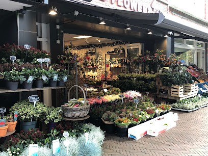 Jailine Flowers Bloemenwinkel Den Haag, Bloemist in Den Haag