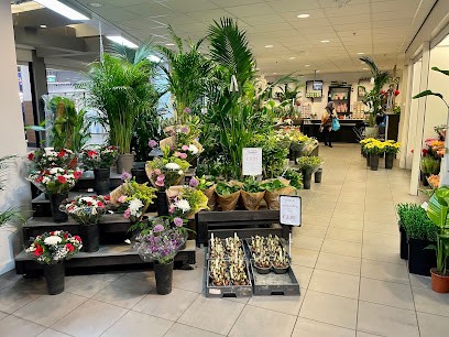 Willem's Flowershop, Bloemist in Rotterdam