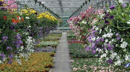 L.J. Van Gastel En J.J. Van Gastel-de Vrieze, Bloemist in Noordgouwe