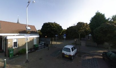 Tulipan, Bloemist in Den Haag