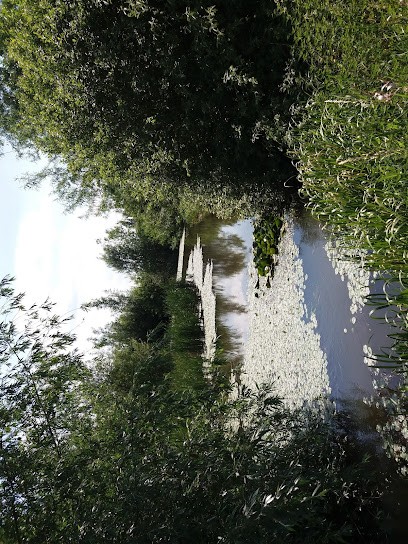 Maatschap CJM Wouters en MWE Wouters Broekhuis, Bloemist in Zundert