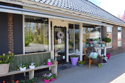 Anya's Bloemen, Wonen & Meer, Bloemist in Oentsjerk