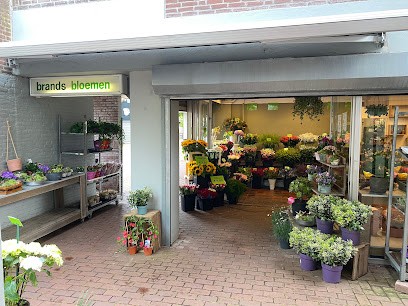 Brands Bloemen, Bloemist in Spijkenisse