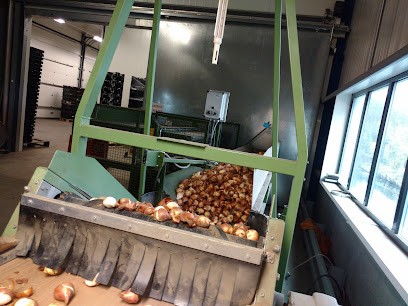 P. Nelis en Zoon's Bloembollenkwekerij/Handel BV, Bloemist in Heemstede