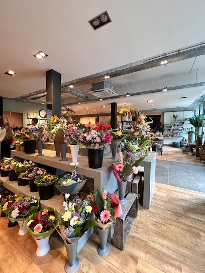 Te Grotenhuis Bloemen & Planten, Bloemist in Dinxperlo
