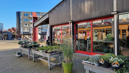 Pels Florists, Bloemist in Woerden