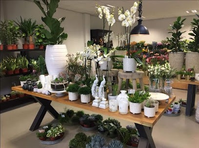 Allure Bloemen en Planten Breda, Bloemist in Breda