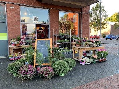 Lola's bloemenwereld, Bloemist in Utrecht