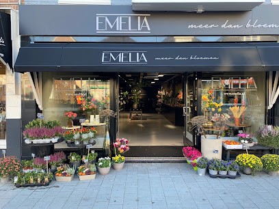 Emelia, Bloemist in Leeuwarden