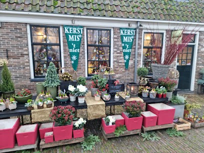 Ranonkel Arrangeurs Bloemen Planten Zichtbaar Anders, Bloemist in Middenbeemster