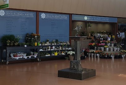 Bloemenboetiek Dings, Bloemist in Venlo