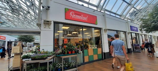 Flowers Shop Rose Island, Bloemist in Utrecht