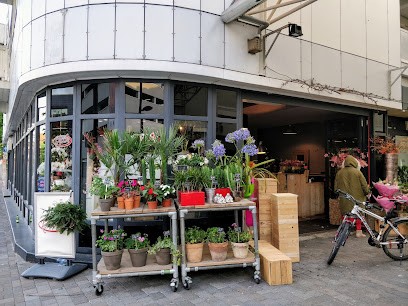 Villa Blossom, Bloemist in Almere