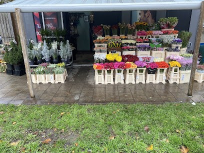 Domstad Bloemen, Bloemist in Utrecht