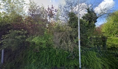 Handelskwekerij De Griendhof V.O.F., Bloemist in Hedel