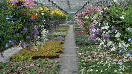 Bloemenkwekerij De Tol, Bloemist in Noordgouwe