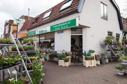 Duoplant Flowers & Gifts Uithoorn, Bloemist in Uithoorn