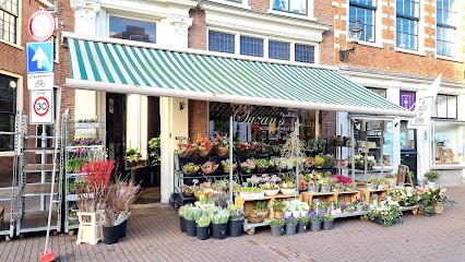 Suzan's Bloementheater, Bloemist in Haarlem