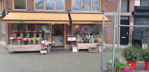Bloemisterij De Vlinder, Bloemist in Rotterdam