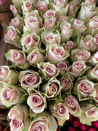 Niels Puur!Bloemen, Bloemist in Noordwijkerhout