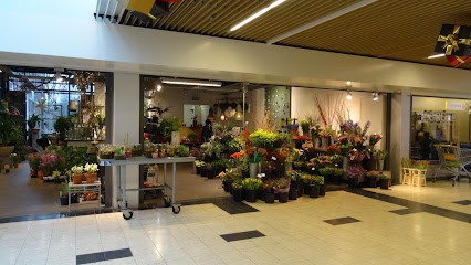 Wim Jansen B.V., Bloemist in Gouda