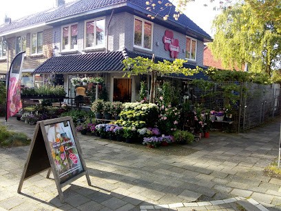 Uw Duurzame Fleurop Bloemist - Bloemenboetiek Panhuis.eu, Bloemist in Leeuwarden