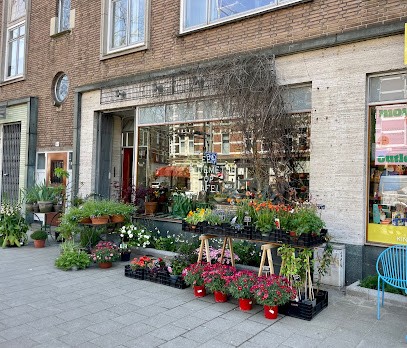 Een bloemetje op tafel, Bloemist in Rotterdam