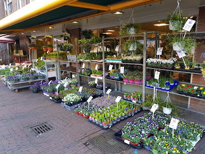 Bloembinderij Johan, Bloemist in Haarlem