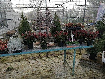 Tuincentrum Casa Flores, Bloemist in Zwaagdijk-Oost